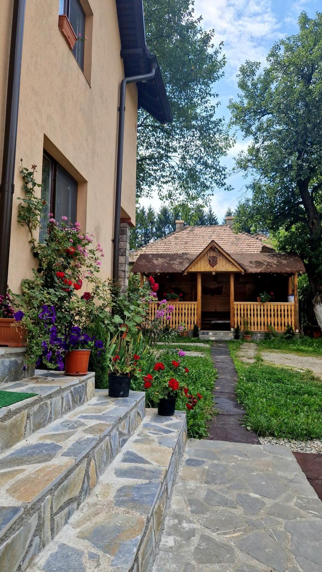 فيلا Casa Dorina برانْ المظهر الخارجي الصورة
