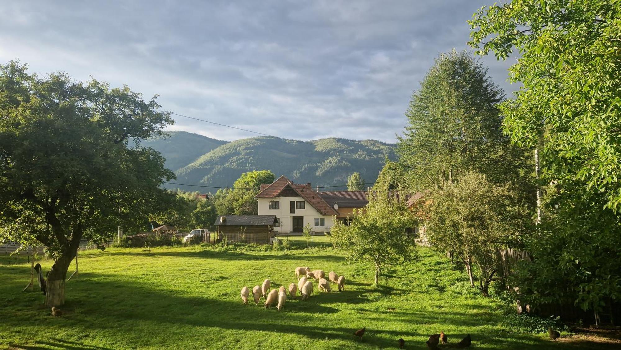 فيلا Casa Dorina برانْ المظهر الخارجي الصورة