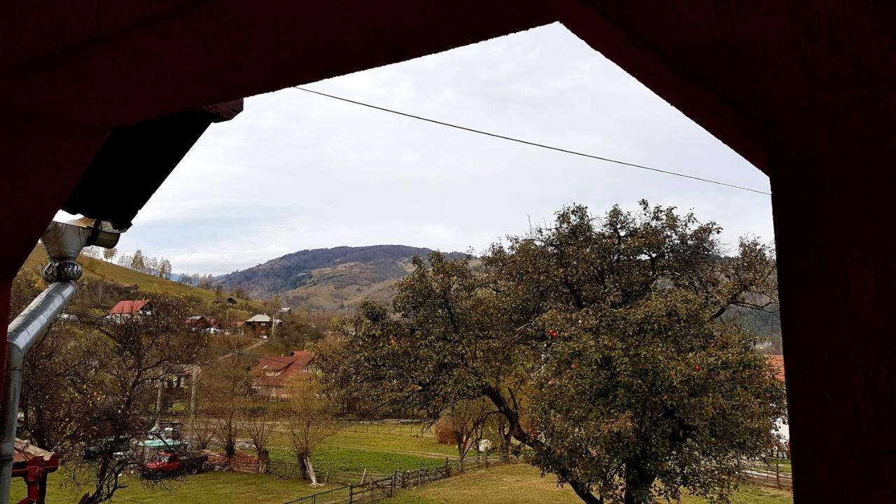 فيلا Casa Dorina برانْ المظهر الخارجي الصورة